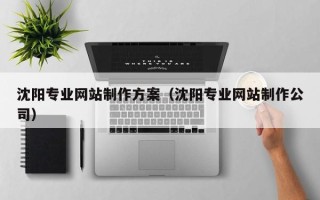 简阳沈阳专业网站制作方案（沈阳专业网站制作公司）